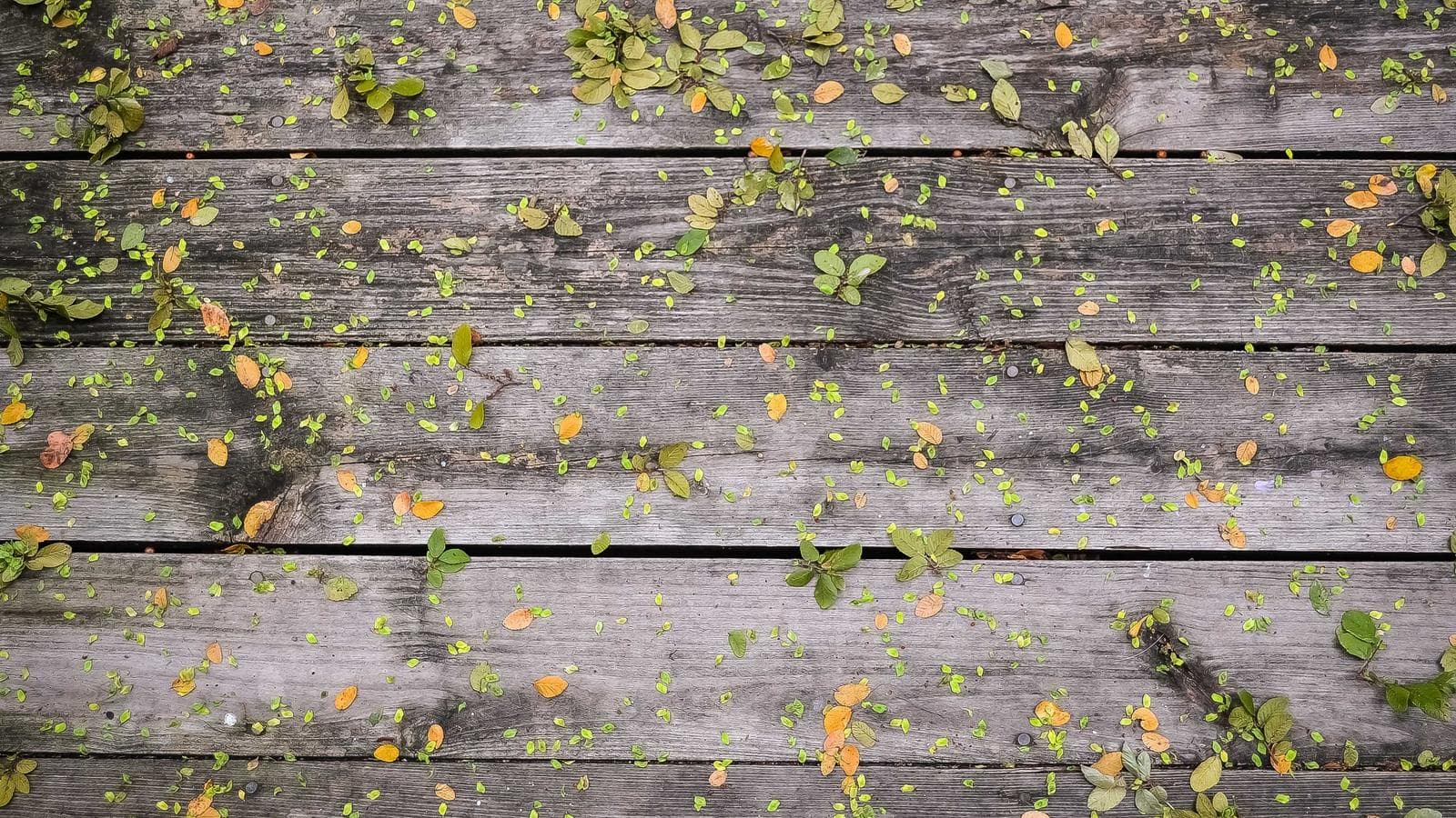 How to fix sleep in 14 days without supplements or gimmicks