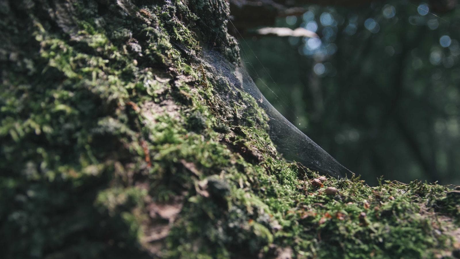 How to schedule workouts around travel without losing strength