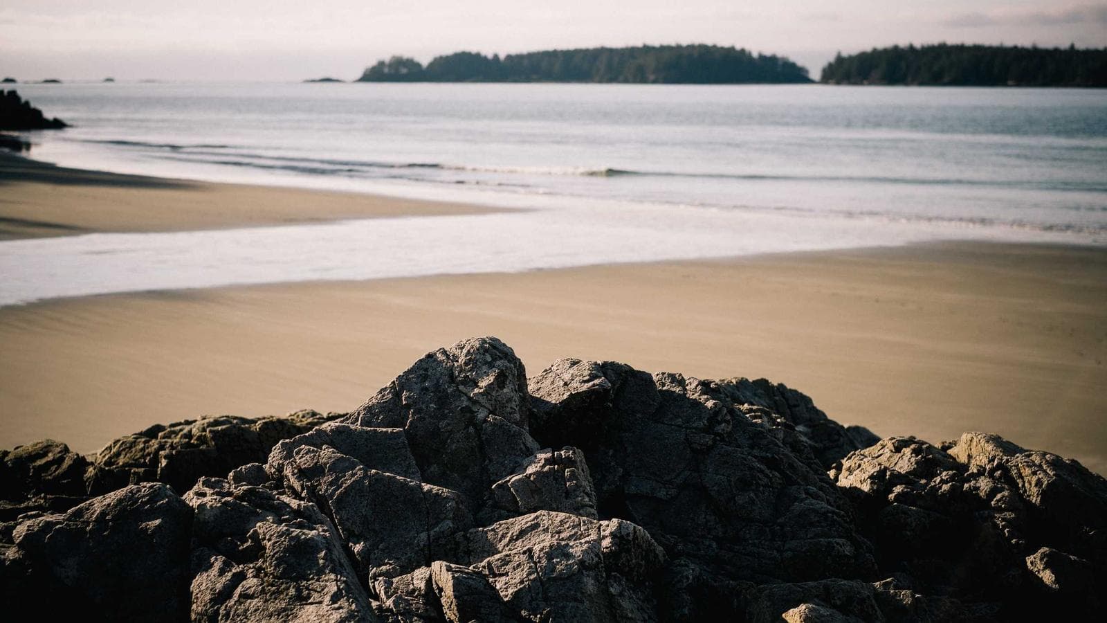 The minimum steps to audit your health insurance like a CFO